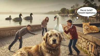 Köyceğiz’in Patili Aristokratları: "Bize Her Gün Pazar