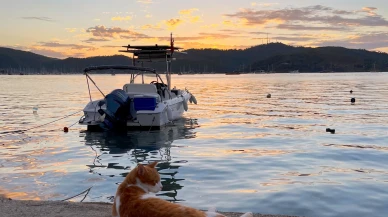 Mavi Şehrin Dijital Yalnızlığı: Bakışlar mı Ekranlar mı?