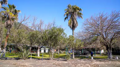 Köyceğiz Ekincik Plajı Yeni Sezona Hazırlanıyor!