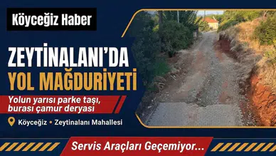 Köyceğiz'de Yapılmayan Yol Mağdur Ediyor
