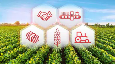 Muğla’da 12 Tarımsal Örgüt TODES’ten 1. Derece Aldı