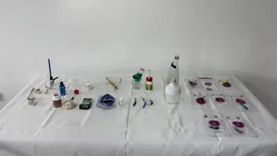 Muğla’da Zehir Tacirlerine Ağır Darbe: 7 Kişi Tutuklandı!