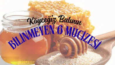 Bağışıklık Sisteminiz İçin Doğal Kalkan: Köyceğiz Balının Bilinmeyen 6 Mucizesi