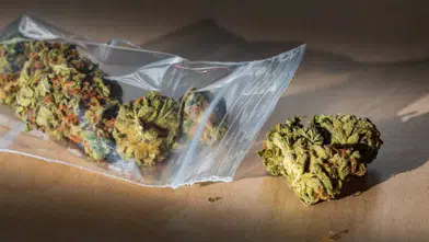 Marmaris’te Kavga İhbarı Uyuşturucu Operasyonuna Dönüştü!