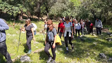 Sarsala’da Rekor Katılım: Milaslı Dağcılar Dalaman’da!