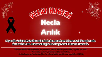 Köyceğiz'de Acı Haber: Necla Arılık Hayatını Kaybetti!