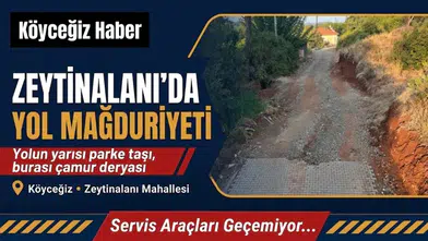 Köyceğiz'de Yapılmayan Yol Mağdur Ediyor