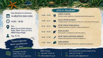 Datça'da Çocuklara Özel Deniz Çayırları Atölyesi