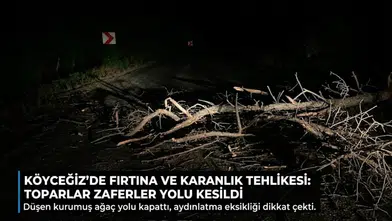 Köyceğiz Toparlar Mahallesi'nde Dev Ağaç Yola Devrildi
