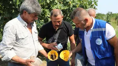 Muğla Büyükşehir'den Köyceğiz ve Ula'da Üreticiye Destek!