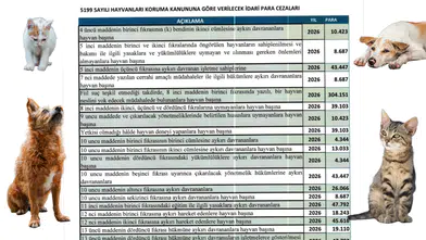 Cezalar El Yakıyor! Köyceğiz'de Hayvan Hakları İhlaline Ağır Yaptırımlar