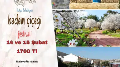 Şölen başlıyor! Köyceğiz'den Datça Badem Festivali'ne büyük ilgi