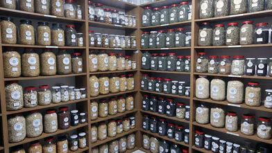 Muğla'dan 81 ile ücretsiz gönderiliyor! Tam 3 milyon ata tohumu dağıtılacak