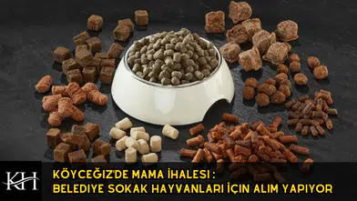Köyceğiz'de Can Dostları İçin İhale: Binlerce Paket Mama Alınacak!