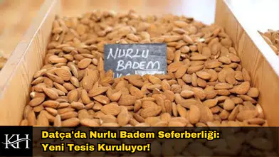 Datça'da Nurlu Badem Seferberliği: Yeni Tesis Kuruluyor!