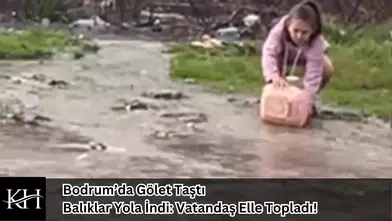 Bodrum’da Gölet Taştı, Balıklar Yola İndi: Vatandaş Elle Topladı!