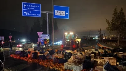 Menteşe Kötekli Kavşağında Portakal Yüklü Tır Devrildi