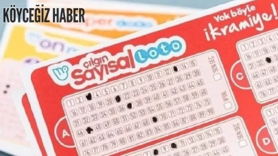 Sayısal Loto nasıl sorgulanır? Çılgın Sayısal Loto çekiliş sonucu, Sorgulama Ekranı 18 ARALIK
