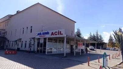 Arı Sokması Sonucu 9 Yaşındaki Nisa Nur Gökçe Hayatını Kaybetti