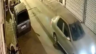 Milas’ta Nesli Tükenmekte Olan Oklu Kirpi Araç Altında Sürüklendi: Hayvan Telef Oldu