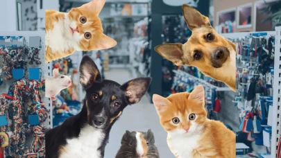 Köyceğiz’de Petshop Nerede? Evcil Hayvan Ürünleri İçin Tek Adres