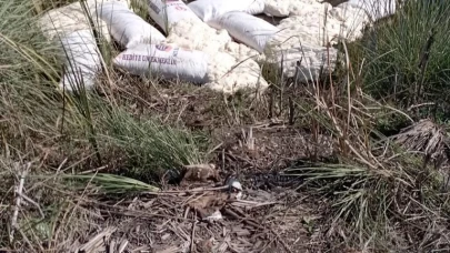 Köyceğiz Gölüne Un Döküldü: Delta Tesisleri Arkasında Şok Görüntüler