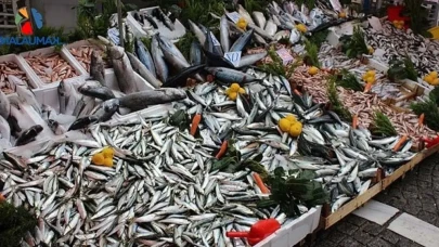 Muğla’dan 9 Ayda 545 Milyon Dolarlık Balık İhracatı: 70 Ülkeye Denizden Katkı