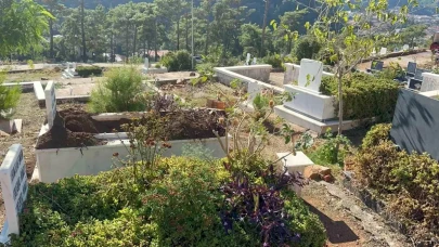 Marmaris İçmeler Mezarlığında Yaban Domuzu Tahribatı: Muhtardan Milli Parklar’a Çağrı