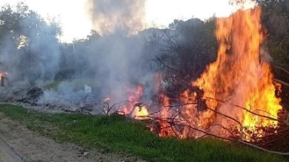 Milas’ta Aynı Anda İki Orman Yangını Çıktı; Müdahale Başladı