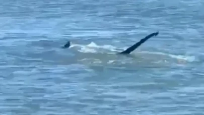 Van Gölü Canavarı Efsanesi Geri Mi Dönüyor? Yeni Görüntüler Tartışma Yarattı