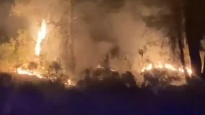 Kavaklıdere'de Orman Yangını Çıktı: Ekipler Müdahale İçin Sevk Edildi