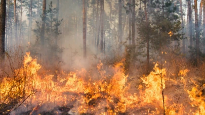 Aydın Nazilli’de Korkutan Yangın: Alevler Her yanı sardı
