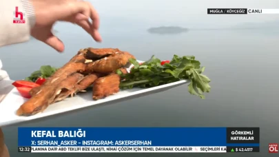 Köyceğiz’in Altın Lezzeti: Kefal Balığı | Mevsimi, Ekolojisi ve Yerel Önemi