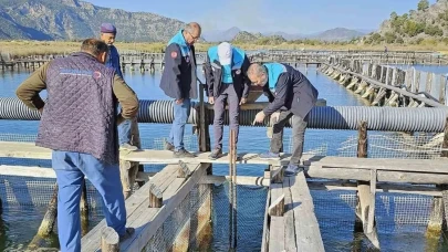 Köyceğiz ve Dalyan’da 2 Sepet ve 5 Barbun Ağı Ele Geçirildi
