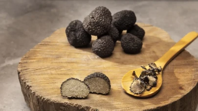 Köyceğiz MYO’da Trüf Mantarı Semineri Düzenleniyor