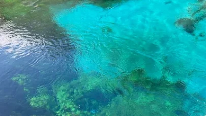 Azmak Nehri Nerede? Akyaka Kadın Azmağı’nın Hikayesi