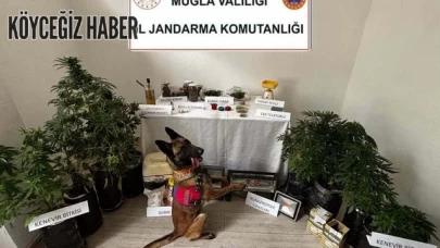 Muğla Marmaris’te Uyuşturucu Operasyonu: 1 Kişi Tutuklandı