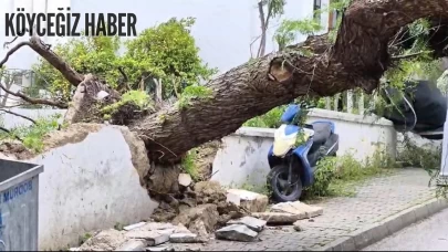 Bodrum ve Datça'da fırtına; feribot seferleri iptal oldu