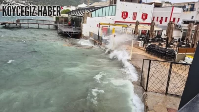 Bodrum’da Fırtına Hayatı Felç Etti: Ağaçlar Devrildi, Feribot Seferleri İptal Edildi