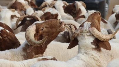 Kurban Bayramı tatili Ne Zaman, 9 gün mü, kaç gün tatil? Bayram tatilinin uzatılması gündemde!