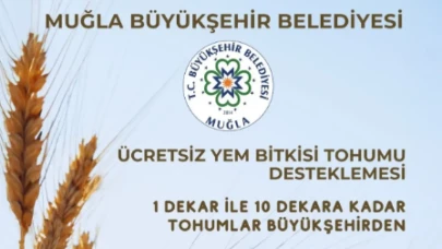 Muğla Büyükşehir Belediyesi’nden Ücretsiz Yem Bitkisi Tohumu Desteği: 1 Dekardan 10 Dekara Kadar Başvuru Alınıyor