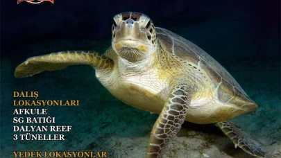 Altın Palet Sualtı Görüntüleme Türkiye Şampiyonası Fethiye’de Başladı: 24–27 Eylül’de Nefes Kesen Dalışlar