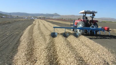 Hasadı Başladı: Kilosu 50-60 TL Arasında Satılıyor