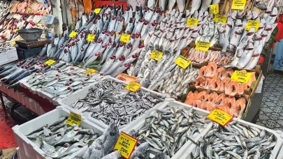 Balık Fiyatları Ne Kadar Oldu? Karadeniz’de Hamsi Bolluğu, Palamut Kıtlığı