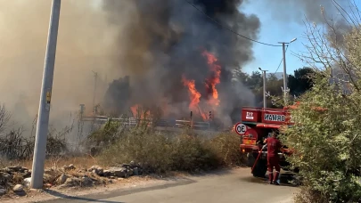 Bir Yangın'da Bodrumda Çıktı: Sazlık Alanda Yangın Korkuttu!