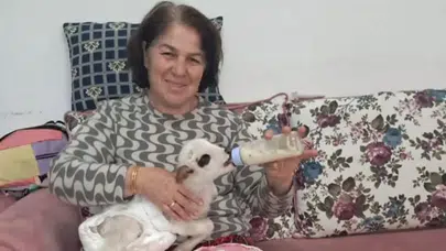 Yeşilyurt’ta Öksüz Kuzuya Evde Sevgi Dolu Bakım