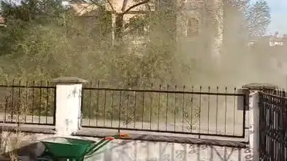 Ulucami’de Sığla Ağacı Kesimi: Köyceğiz'de Tartışmalar Başladı