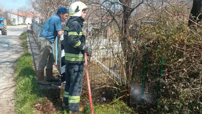 Menteşe’de Otluk Yangını: İpek Böceği Tesisinde Hasar Meydana Geldi
