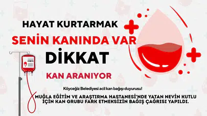 Acil Kan Bağışı Duyurusu: Nevin Kutlu İçin Yardım Çağrısı