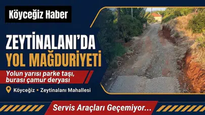 Köyceğiz'de Yapılmayan Yol Mağdur Ediyor
